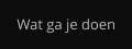 Wat ga je doen